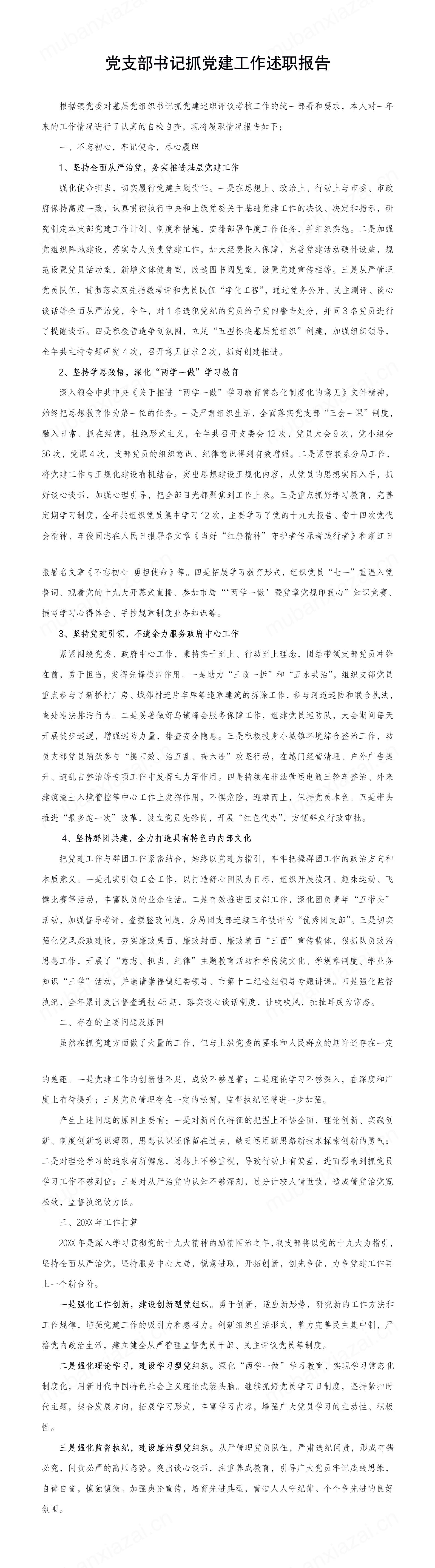 党支部书记抓党建工作述职报告模板预览