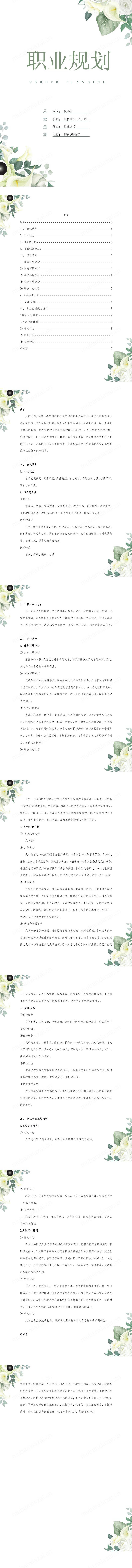 汽修专业职业规划模板预览